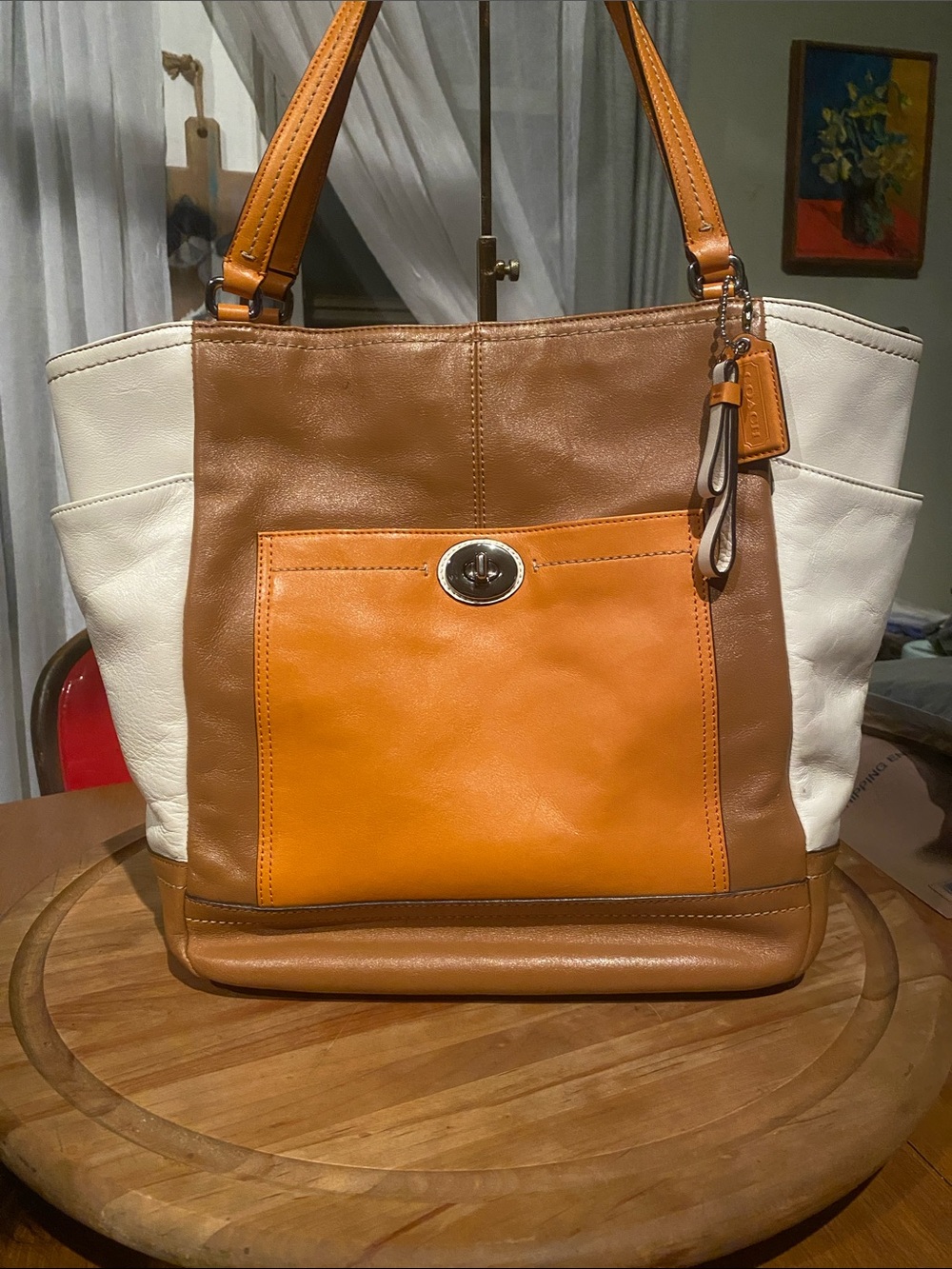 Coach Park Colorblock Leather Carrie Tote Handbag Satchel.